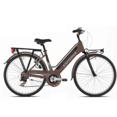 Elektriline jalgratas ESPERIA 220 26" bronze